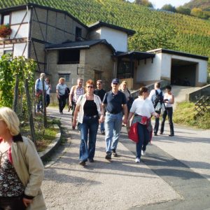 Rotweinwanderweg